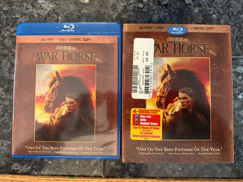 War horse - horse,